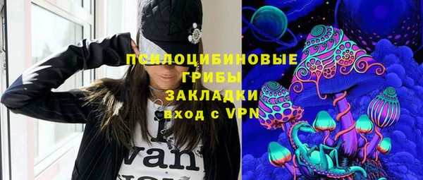 дурь Алексеевка